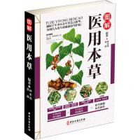 正版 图解医用本草 彩图版现代家庭认知应用养生保健指南中医古籍出版社中药图谱实用偏方指南中医参考书