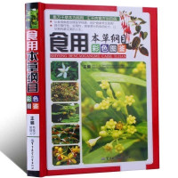 【精装铜版纸】食用本草纲目彩色图鉴 本草纲目正版李时珍本草纲目正版彩图 本草纲目正版李时珍全集 本草纲目正版