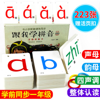 拼音卡片小学一年级学前儿童用教具语文专项训练全套无图拼音卡学声母韵母拼读汉语直映幼小衔接幼儿园字母表全表学前班书拼音教材