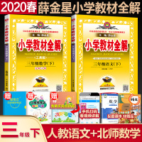 2020新版小学教材全解三年级下册语文数学教材全解 语文人教部编版数学北师大版 小学三年级语文下册教材全解书 薛金星教辅