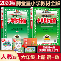 2020秋 薛金星小学教材全解六年级上册语文数学书同步解读析全套2本 人教部编版六年级语文上册教材全解 六年级上册数学教