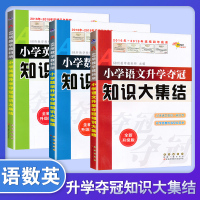 2020新版小学语文升学夺冠知识大集结语文数学英语全套共3本小升初总复习小学毕业升学复习资料考试辅导知识大全知识集锦专项