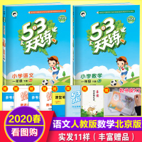 2020春新版 53天天练一年级下册语文数学部编人教版语文北京版数学5.3天天练五三小学1一年级下册语文数学书同步训练