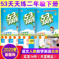 2020新版 53天天练二年级下册语文数学英语全套3本语文人教版数学英语北京版小学2二年级下册语文数学英语书同步训练习册