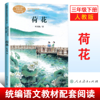 2020春新版课文作家作品系列三年级下册荷花人教部编版小学生三年级课外阅读书籍人民教育出版社正版三年级课外书必读老师推荐