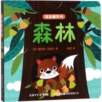 正版 捉迷藏系列森林 (澳)娜塔莉·马歇尔 著孙璐 译 著 少儿艺术(新)亲子阅读婴幼儿启蒙 儿童互动纸板游戏书