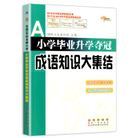 小学毕业升学夺冠成语知识大集结 小升初语文成语基础知识大全文学常识专项训练近反义词总复习六年级毕业升学辅导资料包书