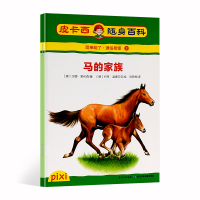 葫芦弟弟 皮卡西 马的家族 适读年龄6-10岁小学生随身百科书装进口袋书 百科知识总结趣味问答益智游戏激发孩子阅读兴趣
