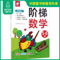 正版书 阶梯数学5-6岁儿童益智书 宝宝智力开发大书 幼儿数学全脑思维训练书籍 专注力训练游戏书幼儿园趣味数学启蒙逻辑读