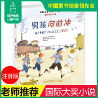 国际大奖小说 男孩向前冲 书二年级 注音版国际安徒生奖大奖书系 [新西兰]玛格丽特 梅喜 新蕾出版社小学生课外书必读