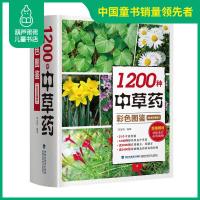 1200种中草药彩色图鉴(白金珍藏版)本草纲目中医养生入门书籍大全黄帝内经中药材书籍中草药图解大全书中医书籍大全