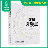 数据引爆点 胡晓军 移动互联网信息大数据 数据营销商业转型 互联网思维 数据化管理数据化原理与作用 互联网+跨界思维 图