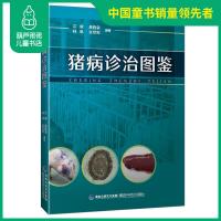 正版猪病诊治图鉴 养猪技术书籍 猪病防治实用手册 猪病学养猪用药基础知识大全书籍 猪养殖