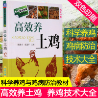 高效养土鸡 养鸡技术书 养鸡书籍大全 养土鸡 散养鸡生态养鸡养殖技术养鸡的书鸡病诊断防治防疫 养鸡鸭鹅技术书籍 家禽养殖