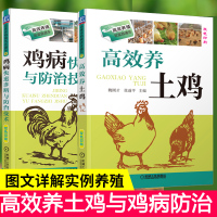 养鸡技术书2册套装 高效养土鸡+鸡病快速诊断与防治技术 散养鸡 生态养鸡养殖技术 养鸡的书 鸡病诊断防治防疫 鸡病防治实