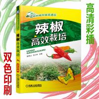 辣椒高效栽培 辣椒种植从入门到精通 辣椒高效种植 辣椒高效栽培新模式辣椒高效栽培技术书籍 现代农业种植技术 种辣椒栽培书