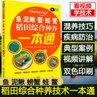 [视频教学]鱼 泥鳅 蟹 蛙 鳖稻田综合种养一本通 稻田养殖技术 泥鳅蛙养殖技术螃蟹养殖技术养鳖技术书籍青蛙养殖技术大全