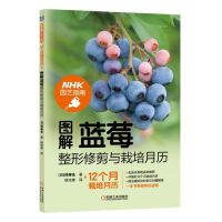 蓝莓种植技术书 图解蓝莓整形修剪与栽培月历 蓝莓种植病虫防害管理 蓝莓类植物整形修剪 果树种植技术大全书 果树种植栽培技
