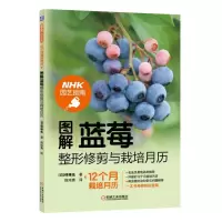 蓝莓种植技术书 图解蓝莓整形修剪与栽培月历 蓝莓种植病虫防害管理 蓝莓类植物整形修剪 果树种植技术大全书 果树种植栽培技