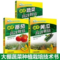 大棚蔬菜种植技术全3本 棚室蔬菜+番茄+黄瓜高效栽培 黄瓜高效栽培番茄西红柿蔬菜病虫害诊断与防治棚室蔬菜类农业养殖种菜书