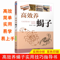 高效养蝎子 养蝎子实用技巧书籍 养蝎场和基层科技人员参考书籍 高效养蝎子书籍 蝎子治病与防治养殖 养蝎子养殖关键技术大