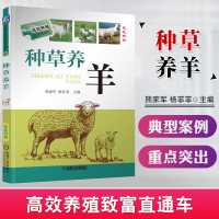 种草养羊 养羊技术大全书籍 高效养殖技术 羊场规划设计常用牧草加工调制技术 常见疾病诊断及治疗关键技术 科学养羊技术指导