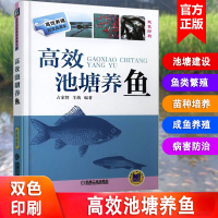 高效池塘养鱼 科学养鱼大全书籍 淡水鱼类养殖 水产养殖生态养鱼技术书 流行鱼病防治 养殖资料书 养鱼书籍大全 池塘养鱼技