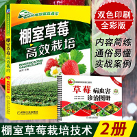棚室草莓高效栽培+草莓病虫害诊治图册(全彩版) 草莓育苗繁殖技术 草莓栽培种植书籍 草莓病虫害防治与诊断书 果蔬栽培入门