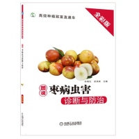 大红枣树栽培种植技术大全图书籍 图说枣病虫害诊断与防治 病虫害防治枣园管理 蜜枣冬枣金丝枣新疆大枣无公害枣树效率种植技术