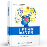 计算机网络技术与实践 IPv4 交换机 VLAN 路由协议 IPv6 本科院校 高职高专院校计算机网络相关课程的教材