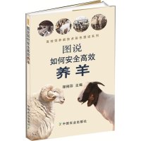 图说如何安全高效饲养养羊 程俐芬主编 生产工艺流程生产目标管理方式操作流程高效标准化养羊 养羊科普读物农业林业畜牧图书