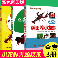 小龙虾养殖技术书3册套装 高效稻田养小龙虾+图说稻田养小龙虾关键技术+高效养小龙虾你问我答 小龙虾稻田综合养殖技术 稻虾