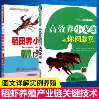 小龙虾养殖书籍2册套装 高效稻田养小龙虾+高效养小龙虾你问我答 稻虾养殖产业链书籍 稻田养小龙虾关键技术 水产养殖技术指