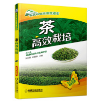 茶高效栽培 茶叶树栽培种植技术大全 科学种植茶叶树 茶园茶树病虫害防治 茶园土壤及水肥管理 茶树修剪枝技术书籍 茶叶种植