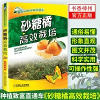 砂糖橘高效栽培 果树栽培技术病虫害防治书籍 农作物种植技术 水果栽培管理技术大全 糖橘苗木繁育与良种选育 农作物高效栽