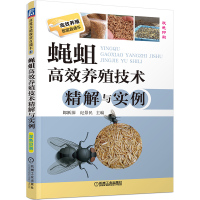 高效养殖技术精解与实例 9787111429401 高效养殖致富直通车蝇蛆科学养殖技术大全人工养殖蝇蛆的方法苍蝇和蝇