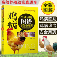 鸡病鉴别诊断图谱与安全用药 高效养鸡技术养鸡的书鸡养殖技术大全书籍 禽流感预防与控制 常见鸡病快速诊断与防治技术书籍