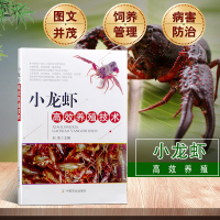 赠视频 小龙虾高效养殖技术彩图版 科学养殖龙虾教程视频小龙虾病害防治 小龙虾苗种培育 科学养虾技术大全 虾病害防治养虾技