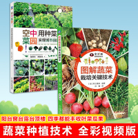 全2册 图解蔬菜栽培关键技术+空中菜园用种菜箱实现城市田园乐 掌握蔬菜栽培要点 阳台种菜书籍 种菜箱有机蔬菜栽培种植技术