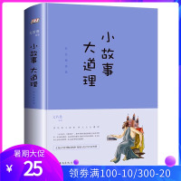 小故事大道理 精装正版 中小学生三四五六年级大全集彩色插图版 文若愚编著中外精彩故事书 青少年学生课外书阅读书籍