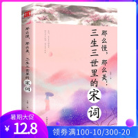 那么慢那么美 三生三世里的宋词 中国古典诗词作品集 作品背后的爱恨情仇 古诗词鉴赏宋词三百首古典文学作品