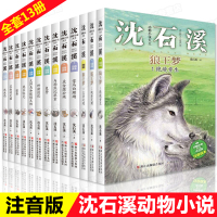正版 沈石溪动物小说全集13册注音版狼王梦全系列 一二三年级课外书老师推荐阅读 小学生课外必读书籍1-2-3年级带拼音