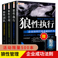 全套3册 狼性团队+狼性执行+狼性管理可复制的领导力领导者管理的成功法则不懂带团队就自己累员工培训教程团队企业管理方面的