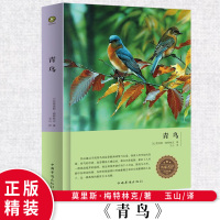 正版 青鸟 莫里斯梅特林克著白话精装锁线装订厚纸大字版名家名译儿童文学名著书青少年版初中生 青鸟书小学生四年级五六年