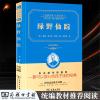 绿野仙踪 原著完整中文版张炽恒译本 经典儿童文学故事集 精装硬皮商务印书馆无障碍阅读书 小学三四五六年级课外书书儿童读物