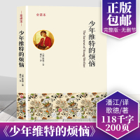 少年维特的烦恼 书正版歌德原著完整中文版青少年青少版世界名著 少年维特之烦恼书籍新课标书高初小学生课外小说书籍