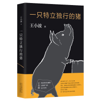 一只特立独行的猪 王小波杂文精选集 逝世二十周年精装纪念版 现当代文学散文随笔读物