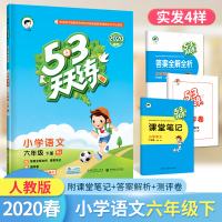 语文部编人教版2020春53天天练小学语文六年级下册同步训练小学6年级同步练习册五三5.3课堂作业随堂测课后练习课堂笔记