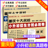 2020重庆十大名校小升初招生真题卷分班必刷卷全套数学语文小学升初中练习卷五六年级上下册名校冲刺毕业总复习精选试卷测试卷