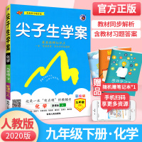 尖子生学案九年级下册化学2020人教版 初中初三下尖案化学教辅书 九年级下化学教材完全解读 九下化学全教材解培优训练教辅